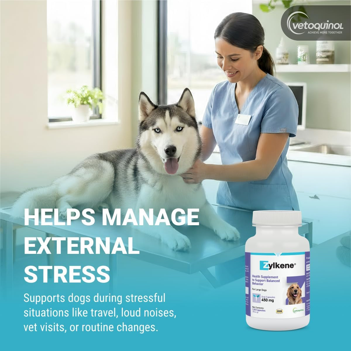 Zylkene - Calming Support for Large Dogs 33–132 Lb - Supports Behavior & Occasional Anxiety - Perfect for Boarding, Vet Visits & Celebrations - Non-Drowsy & Lactose-Free - 120 Capsules