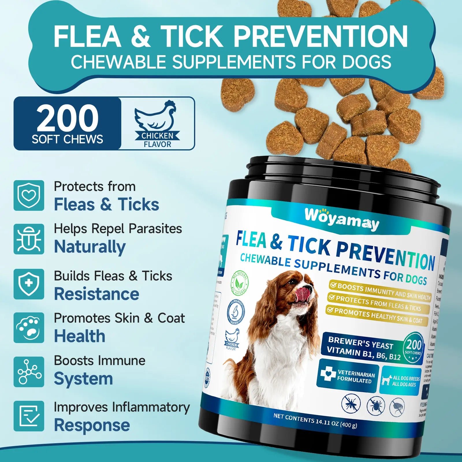 Flea & Tick Prevention for Dogs, 200 Ct Chewables - Support Skin & Coat Health with Fish Oil, Omega-3, Multivitamin, Natural Dog Flea and Tick Chews for All Breeds & Sizes, Chicken Flavor