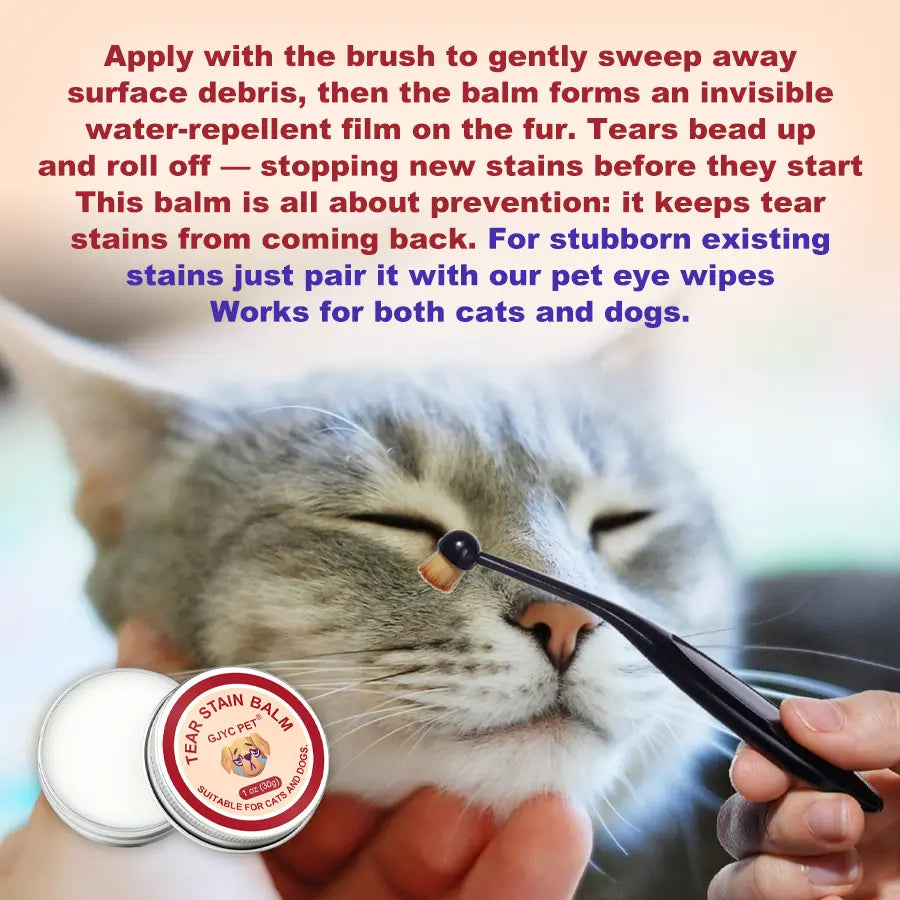 PET Pet Tear Stain Protection Cream with Professional Brush for Dog and Cat Eye Care, Natural Anti-Tear, Gentle Cleaning, Removes Tear Stains from Dogs and Cats, Remarkable Effect without Irritation