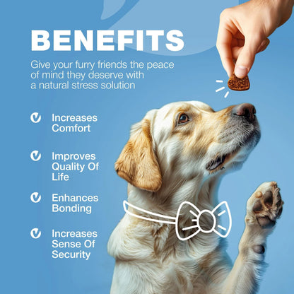 Calming Chews for Dogs Anxiety Dog Calming Treats with Melatonin Valerian Root 180 Chews