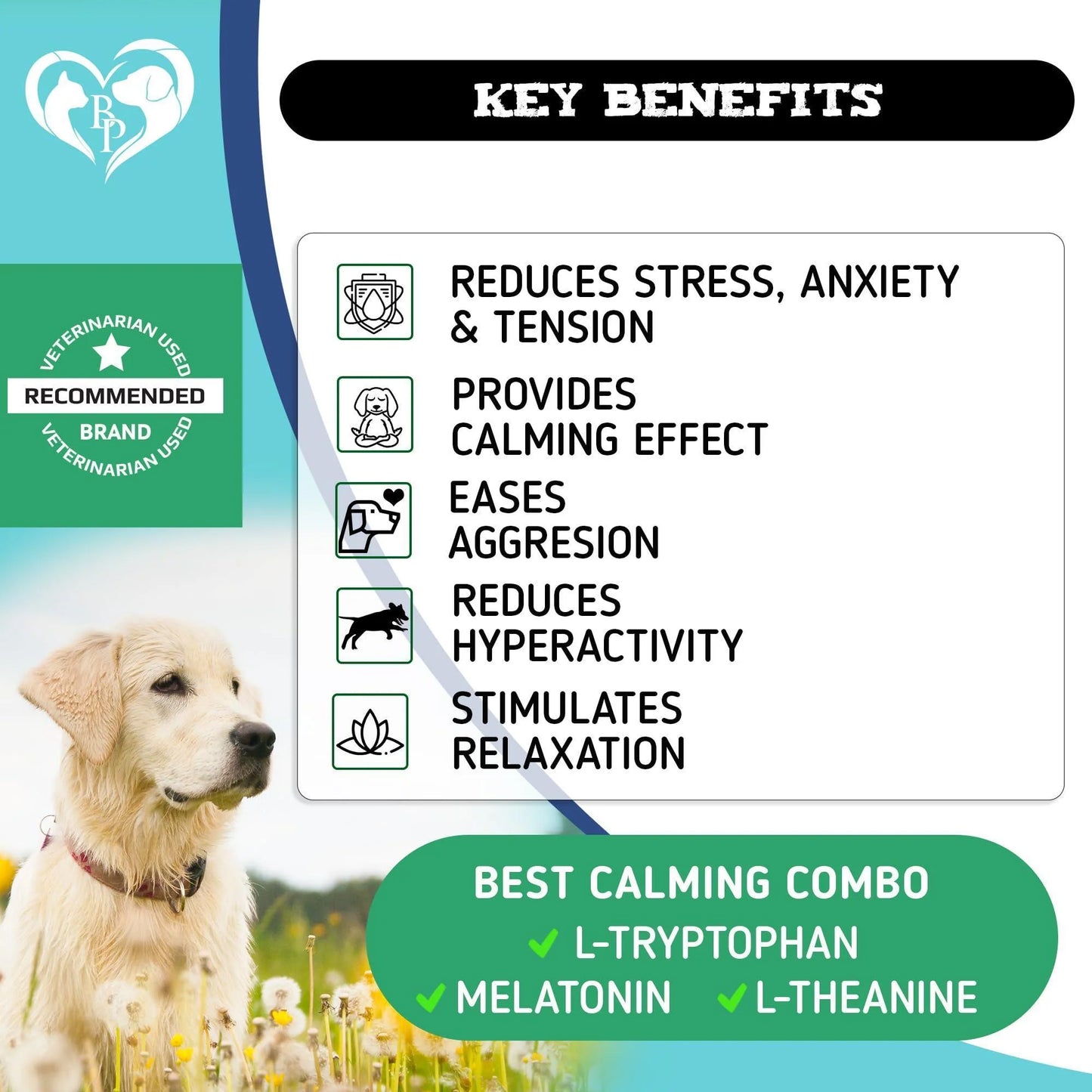 Hemp Calming Chews for Dogs Separation Anxiety Relief