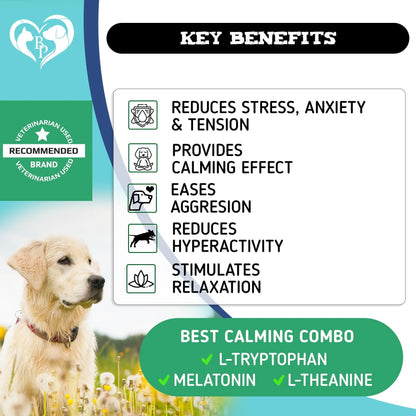 Hemp Calming Chews for Dogs Separation Anxiety Relief