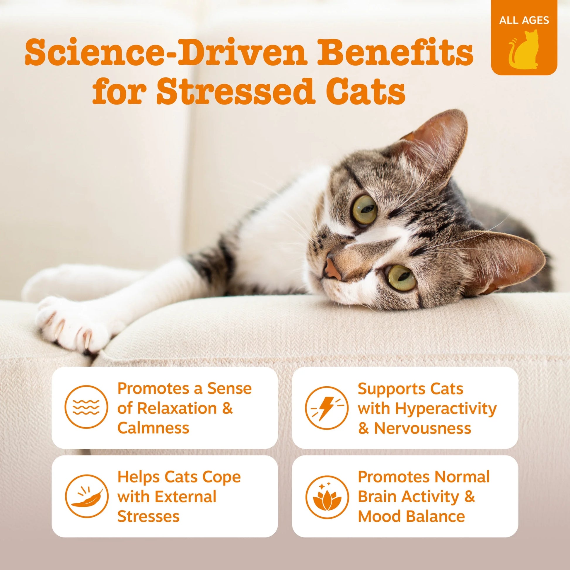 (6 Pack)  Calming Bites Bacon 30Ct - Cat (Pouch)