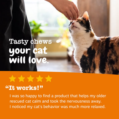 (6 Pack)  Calming Bites Bacon 30Ct - Cat (Pouch)