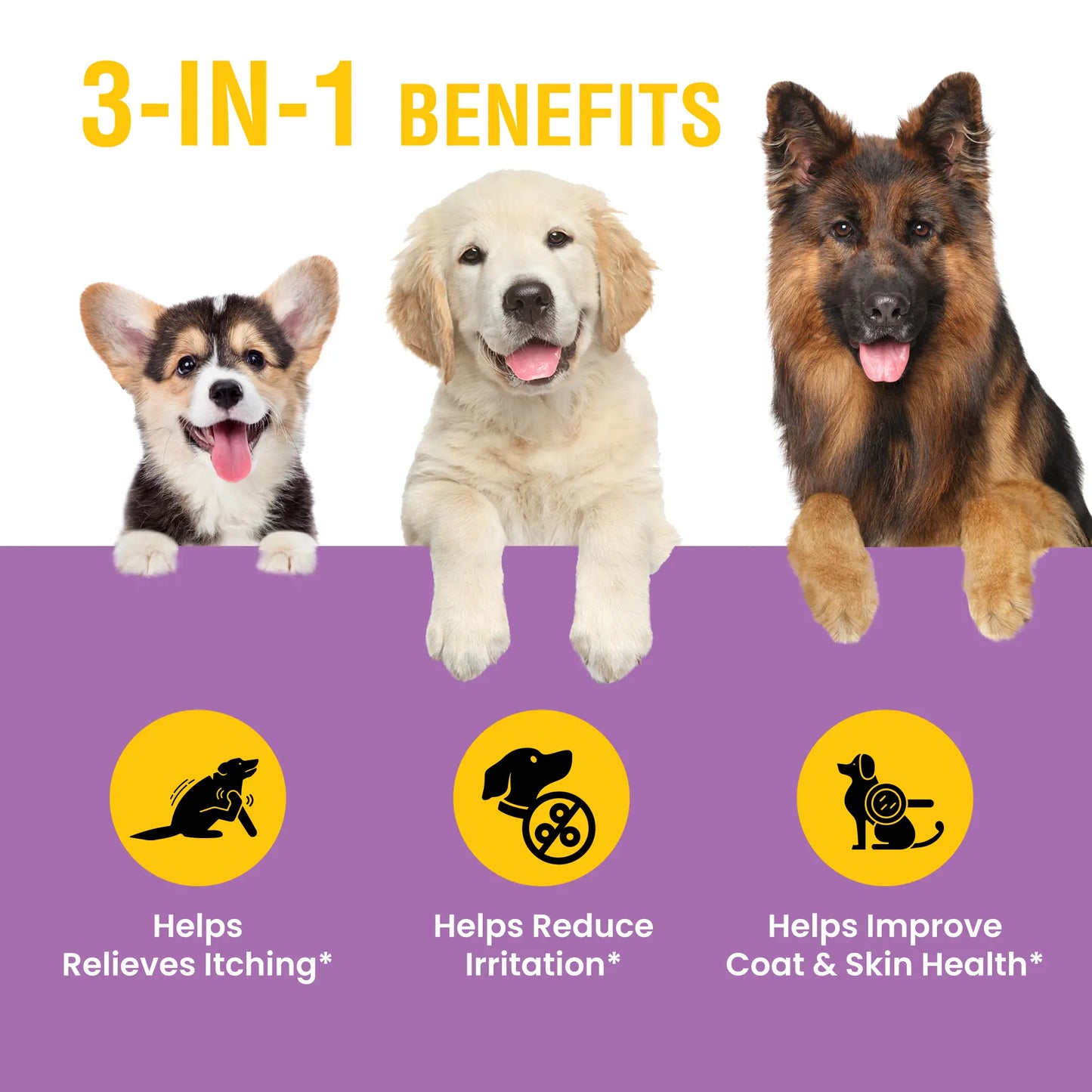 SPECIAL BREED Natural Yeast Infection Treatment for Dogs - 2 Oz, Soothing Itch Relief and Ear Infection Care, Alleviates Irritation and Inflammation