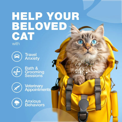 Hemp Calming Chews for Cats Melatonin Hemp Seed Oil & Probiotics Anxiety Relief