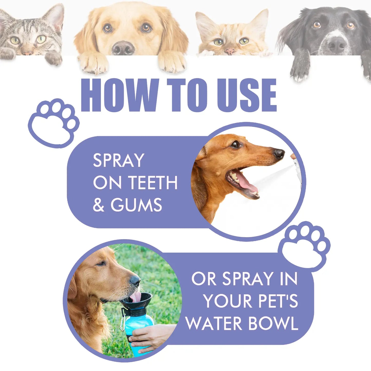 Cat and Dog Tooth Cleaning Spray - Removes Stains and Freshens Breath for Pet Oral Carelitter Pellets, Spray, Litter Tray, Litter Box, Removal,Summervibes,Petlovers Toothbrush Remover