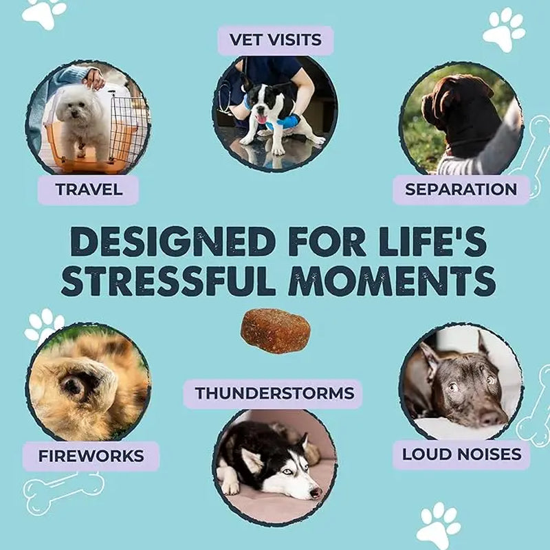 Mighty Calm Chews for Dogs: Stress Relief and Calming Support Supplements