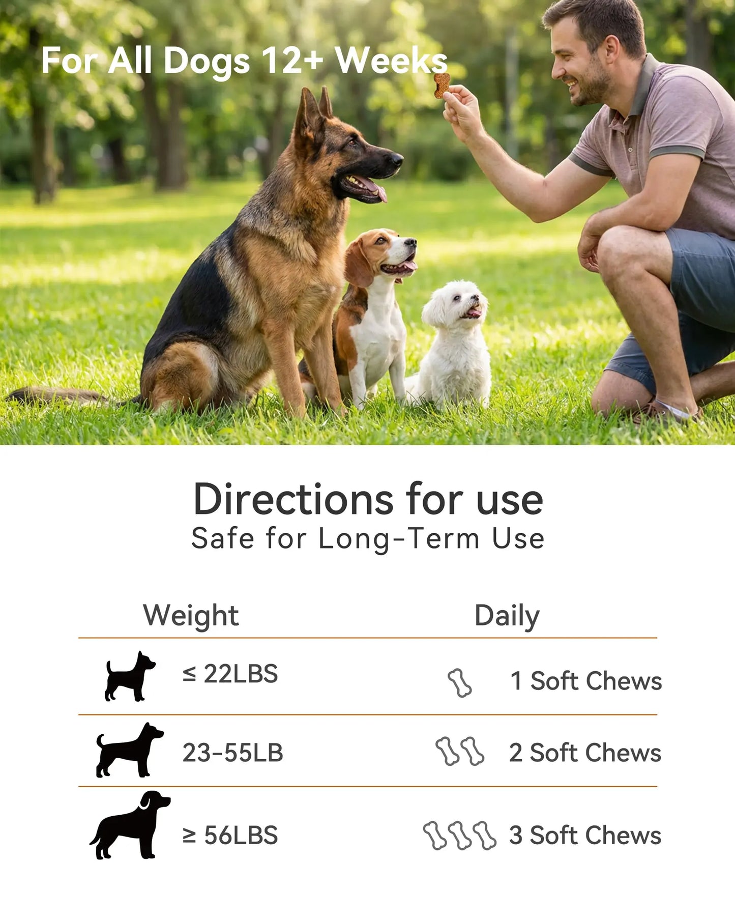 Daily Probiotic Chews for Dogs – Gut Health & Digestive Support Supplement, Spore-Forming Bacillus Coagulans, Multi-Strain Lactobacillus with Prebiotic Inulin/Fos, Chicken Flavor, 120 Soft Chews