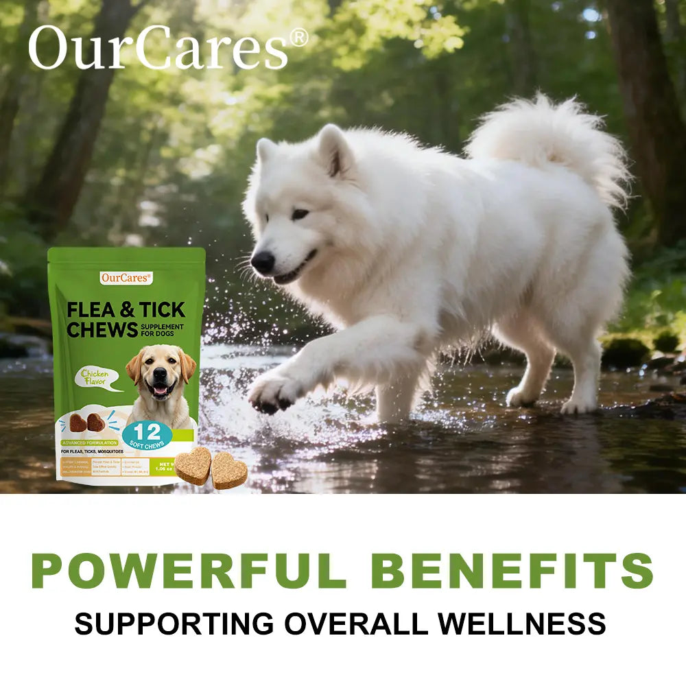 Ourcares Natural Outdoor Defense Dog Chewables – 12 Count Chicken-Flavored Chews with Coconut Oil & Vitamins for Comprehensive Pet Wellness & External Protection Support，Glb