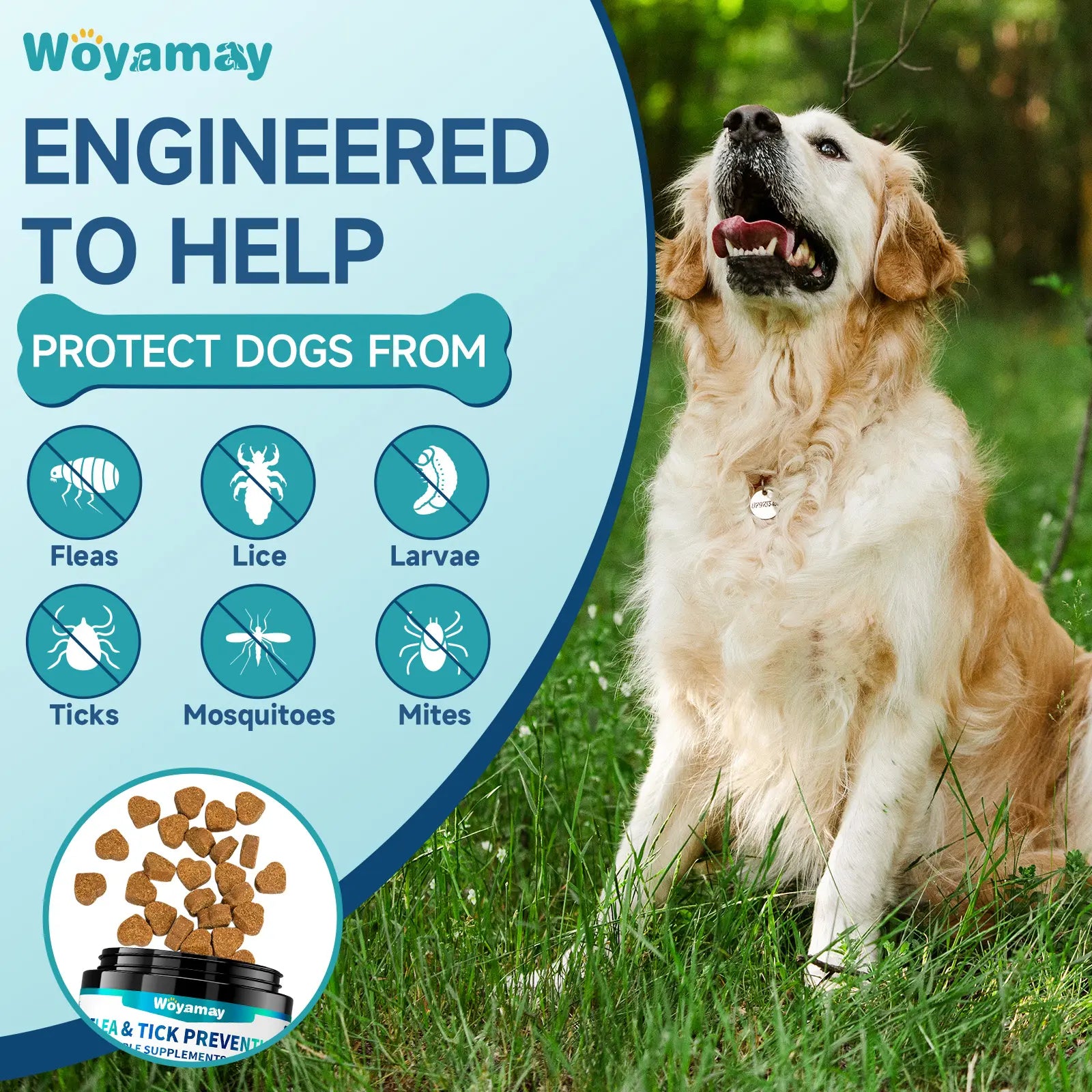 Woyamay Dog Flea and Tick Chews, 200 Ct with Omega-3, Natural Dog Flea and Tick Support Chews, Daily Flea Away for Puppies Chewables, All Breeds & Sizes, Chicken Flavor Supplements Vitamin