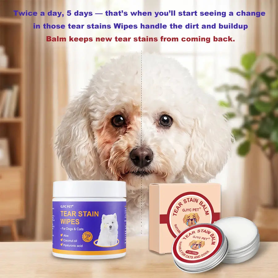 PET Pet Tear Stain Protection Cream with Professional Brush for Dog and Cat Eye Care, Natural Anti-Tear, Gentle Cleaning, Removes Tear Stains from Dogs and Cats, Remarkable Effect without Irritation
