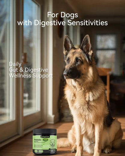 Daily Probiotic Chews for Dogs – Gut Health & Digestive Support Supplement, Spore-Forming Bacillus Coagulans, Multi-Strain Lactobacillus with Prebiotic Inulin/Fos, Chicken Flavor, 120 Soft Chews