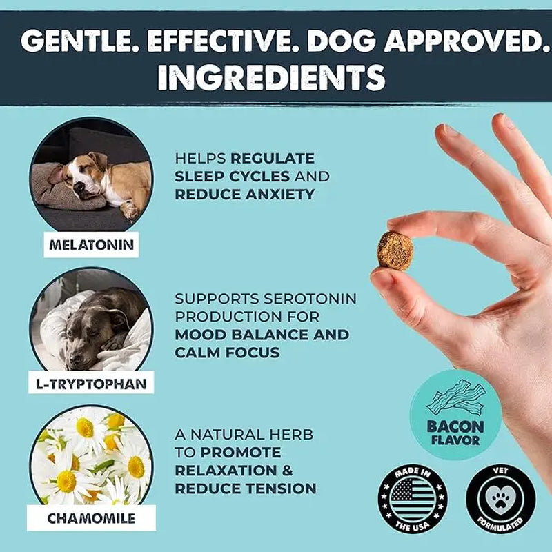 Mighty Calm Chews for Dogs: Stress Relief and Calming Support Supplements