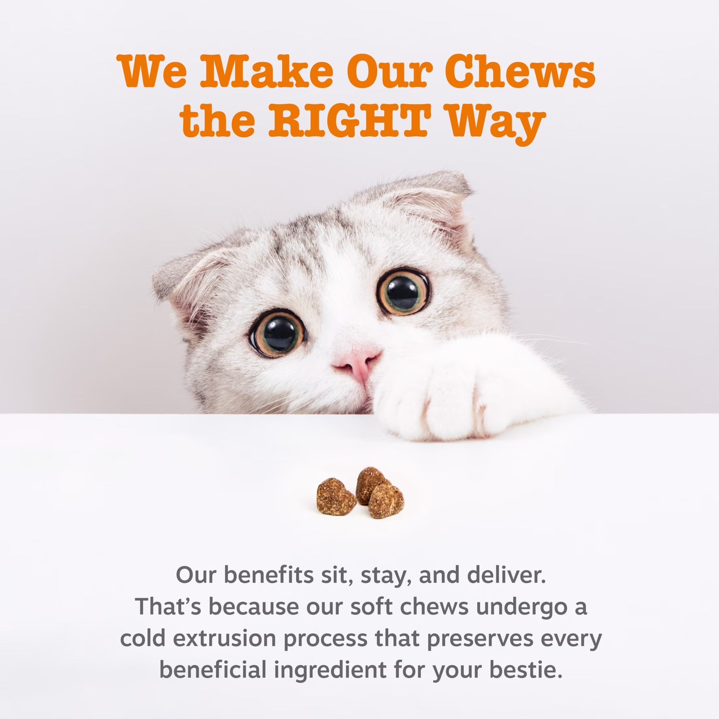 (6 Pack)  Calming Bites Bacon 30Ct - Cat (Pouch)