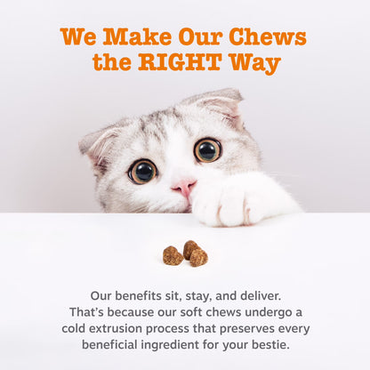 (6 Pack)  Calming Bites Bacon 30Ct - Cat (Pouch)
