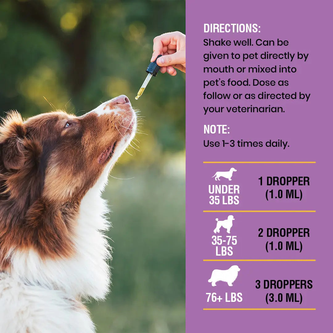 SPECIAL BREED Natural Yeast Infection Treatment for Dogs - 2 Oz, Soothing Itch Relief and Ear Infection Care, Alleviates Irritation and Inflammation
