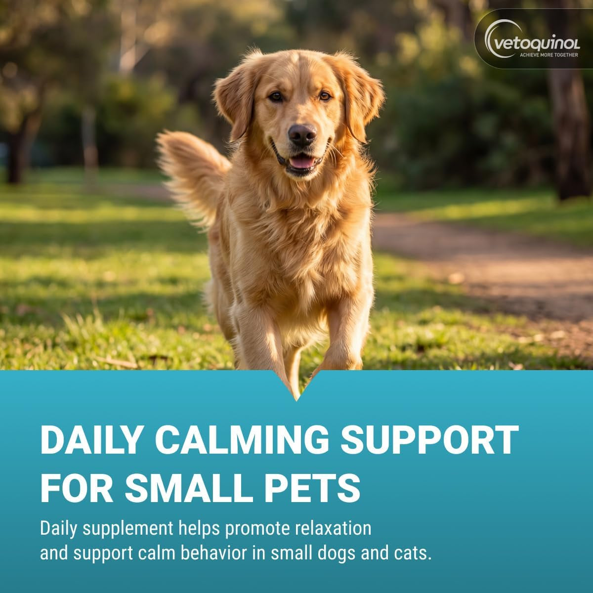 Zylkene Calming Support Supplement for Small Dogs and Cats, Promotes Relaxation, Reduces Stress, and Supports Occasional Anxiety Relief for Dogs and Cats, 75Mg - 14 Capsules