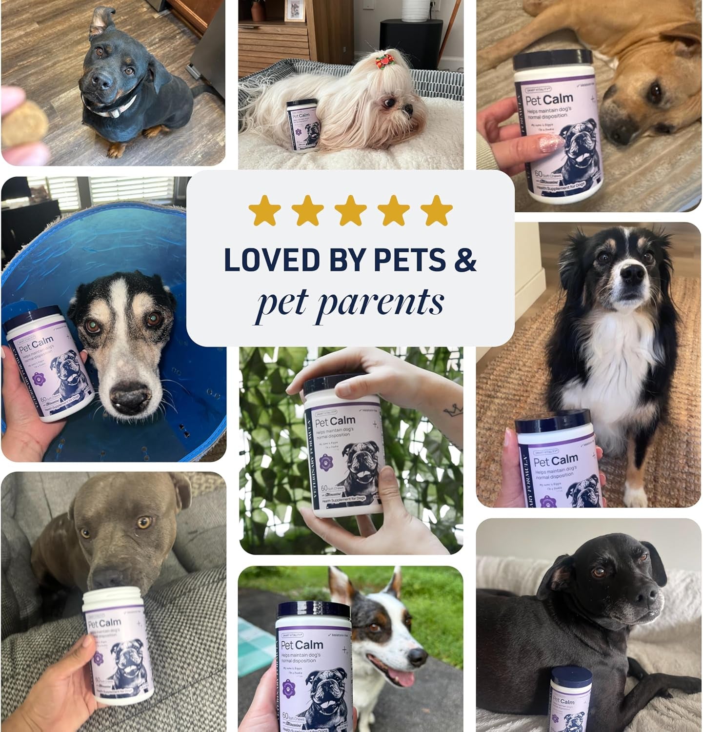 Pet Calm 60Ct – Vet-Formulated Calming Chews for Dogs with L-Theanine, L-Tryptophan for Behavior Support, Relaxation Treats, Puppy Chews for Stressful Situations, Dog Calming Aid