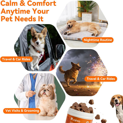 Calming Chews for Dogs, Dog Calming Supplement | Magnesium Glycinate, Melatonin & L-Theanine for Anxiety, Stress, Travel & Separation,90 Count