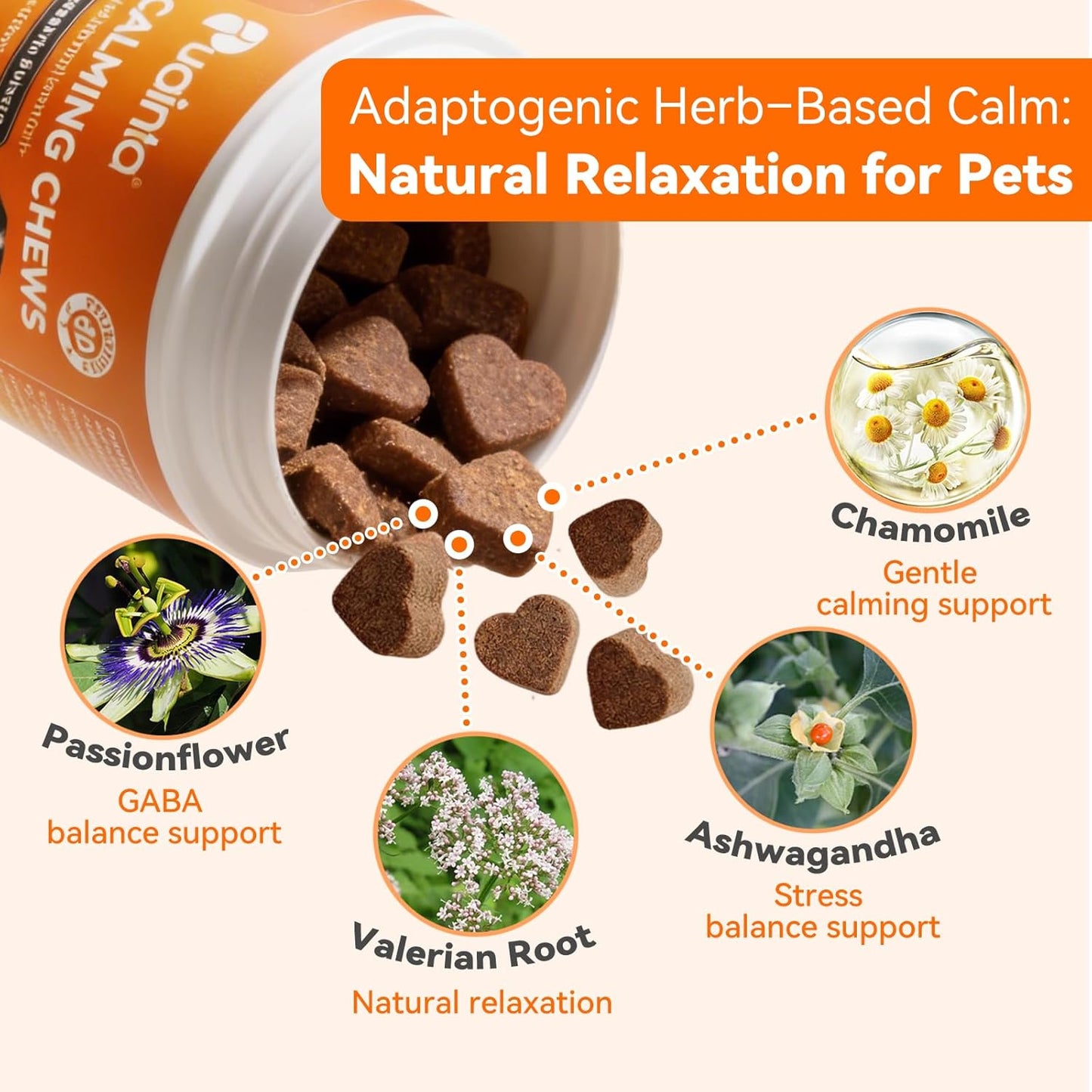 Calming Chews for Dogs, Dog Calming Supplement | Magnesium Glycinate, Melatonin & L-Theanine for Anxiety, Stress, Travel & Separation,90 Count