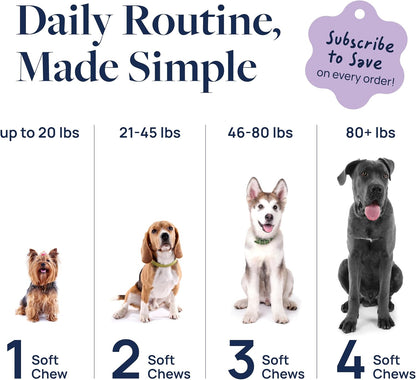 Pet Calm 60Ct – Vet-Formulated Calming Chews for Dogs with L-Theanine, L-Tryptophan for Behavior Support, Relaxation Treats, Puppy Chews for Stressful Situations, Dog Calming Aid