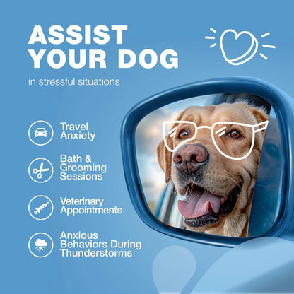 Calming Chews for Dogs Anxiety Dog Calming Treats with Melatonin Valerian Root 180 Chews