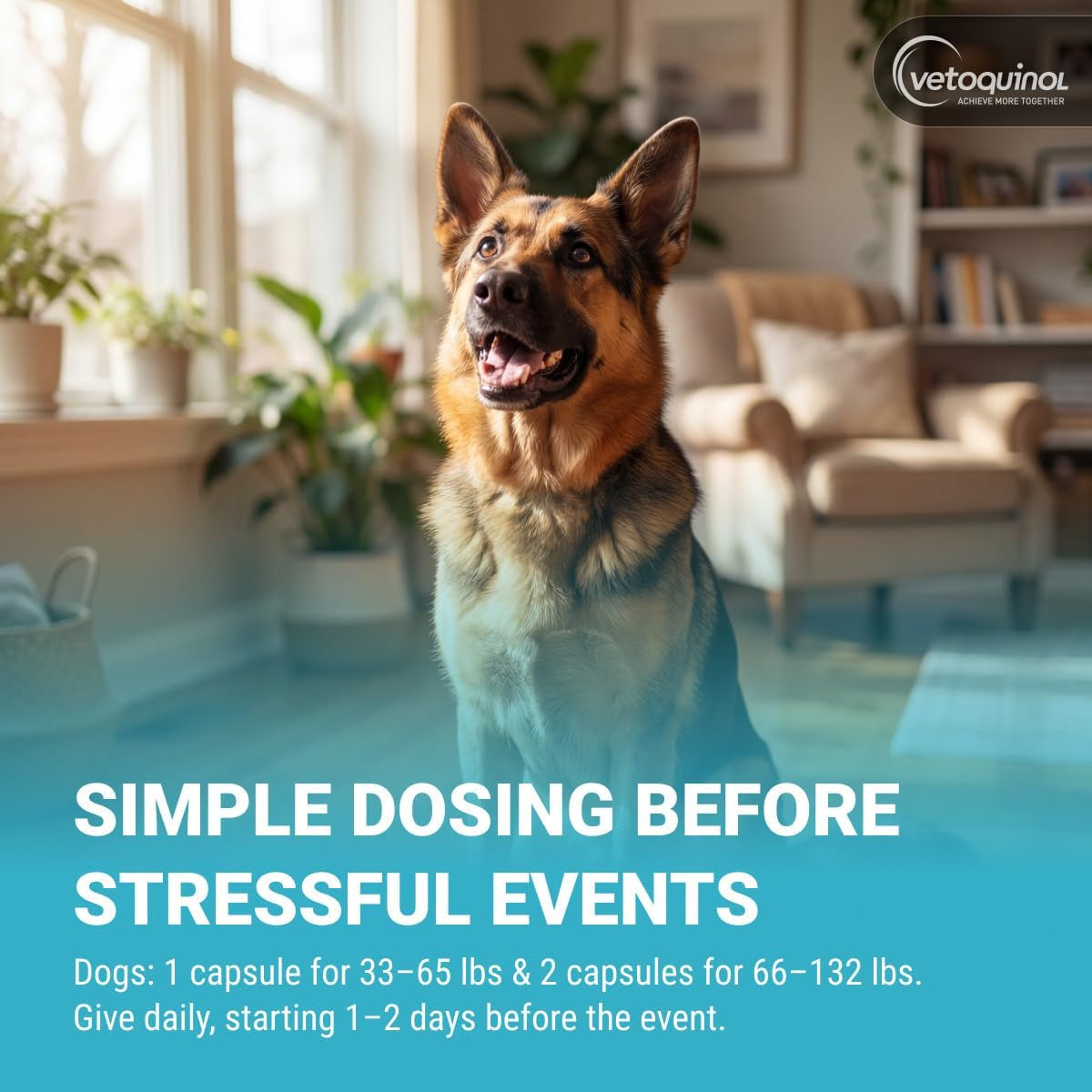Zylkene - Calming Support for Large Dogs 33–132 Lb - Supports Behavior & Occasional Anxiety - Perfect for Boarding, Vet Visits & Celebrations - Non-Drowsy & Lactose-Free - 120 Capsules