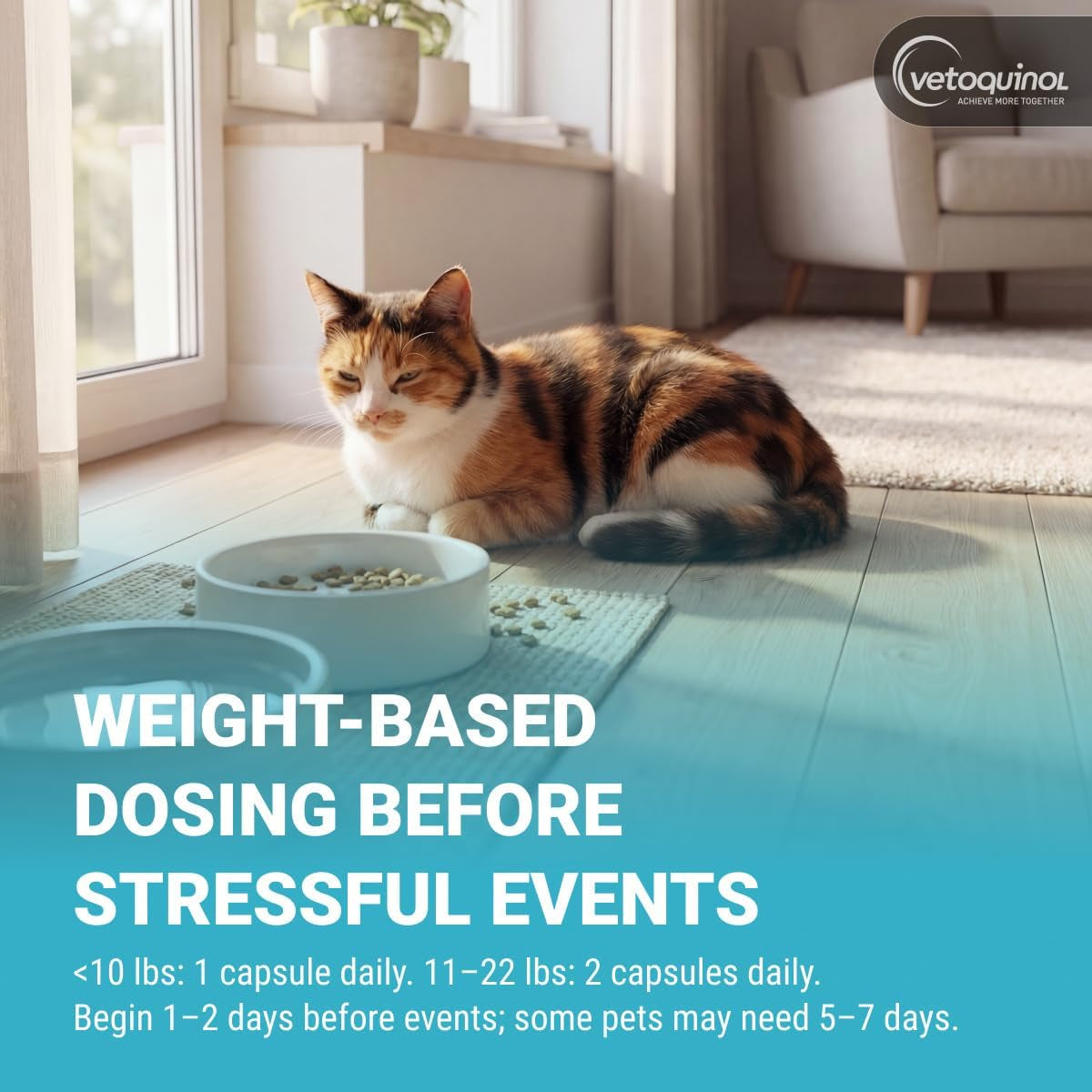 Zylkene Calming Support Supplement for Small Dogs and Cats, Promotes Relaxation, Reduces Stress, and Supports Occasional Anxiety Relief for Dogs and Cats, 75Mg - 14 Capsules