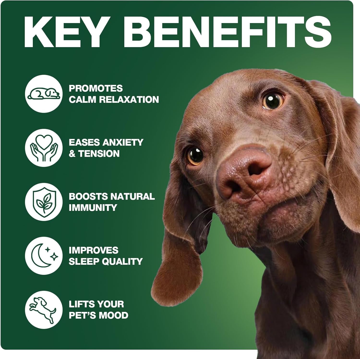 180 Cts, Dog Calming Chews, Calming Chews for Dogs, Soft Chews Treats Helps with Strеss, Anxiеty Rеlief, Separation,