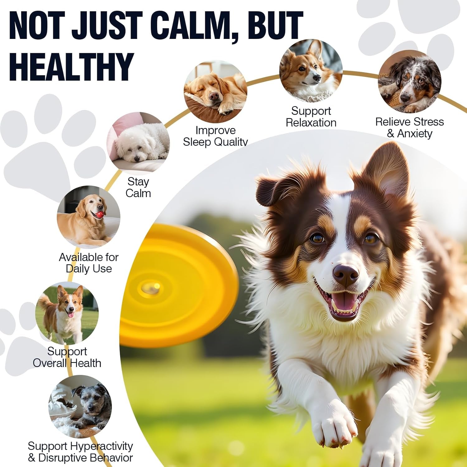 Dog Calming Chews 200Ct, for Small/Medium/Large Dogs