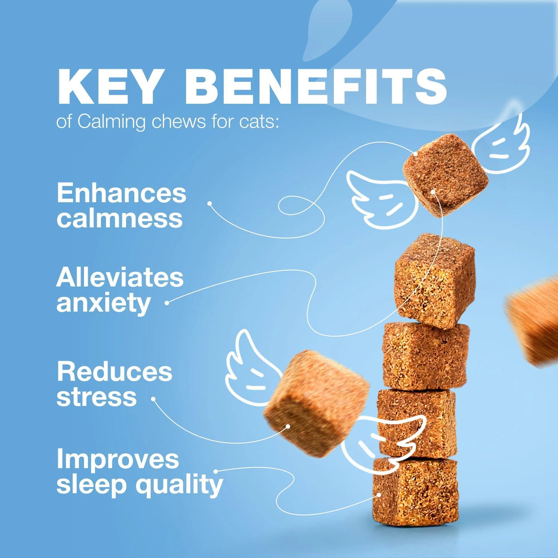 Hemp Calming Chews for Cats Melatonin Hemp Seed Oil & Probiotics Anxiety Relief