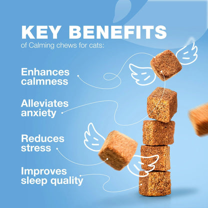 Hemp Calming Chews for Cats Melatonin Hemp Seed Oil & Probiotics Anxiety Relief