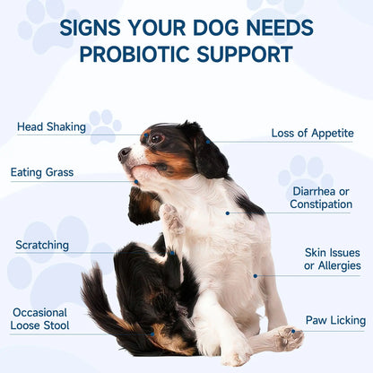 Dog Probiotics, 200 Chews, Gut and Digestive Health, Itchy Skin, Yeast Overgrowth, Diarrhoea & Gas, Overall Health Supplements